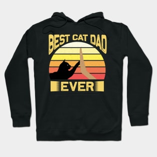 Best Cat Dad Ever Vintage Retro Sunset Hoodie